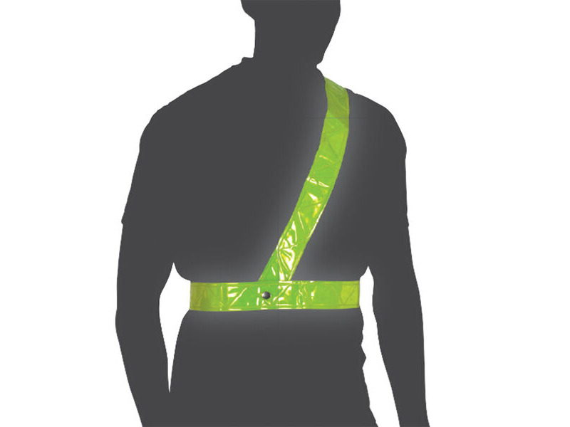 OXFORD Bright Belt - Large click to zoom image