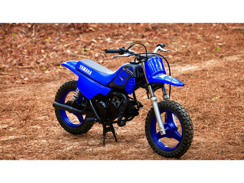 Yamaha deals pw80 price