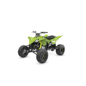 YAMAHA YFZ450R SE RAPTOR click to zoom image