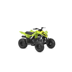 YAMAHA YFM 110R 2WD Acid Green click to zoom image