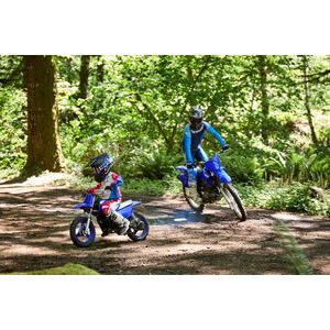 YAMAHA PW 50 click to zoom image