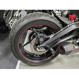 TRIUMPH Triumph Street Triple 765 RS click to zoom image