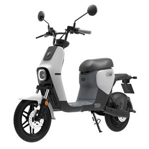 SEGWAY B110S Electric Moped  White / Grey  click to zoom image