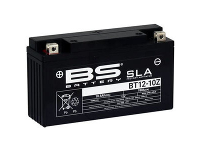 BS BATTERIES BS-BT12-10Z SLA