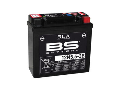 BS BATTERIES 12N5.5-3B SLA (WC) Factory Activated Battery