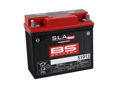 BS BATTERIES 51913 SLA (WC) Factory Activated Battery