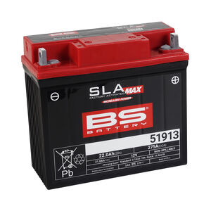 BS BATTERIES 51913 SLA (WC) Factory Activated Battery 