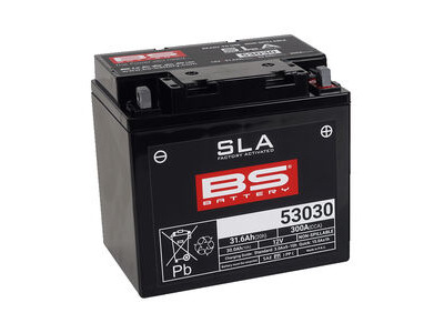 BS BATTERIES 53030 SLA (WC) Factory Activated Battery