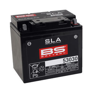 BS BATTERIES 53030 SLA (WC) Factory Activated Battery 
