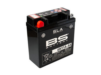 BS BATTERIES 6N11A-4A SLA (WC) Factory Activated Battery