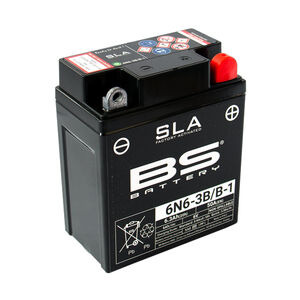 BS BATTERIES 6N6-3B/B-1 SLA (WC) Factory Activated Battery 