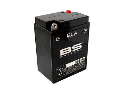 BS BATTERIES B38-6A SLA (WC) Factory Activated Battery