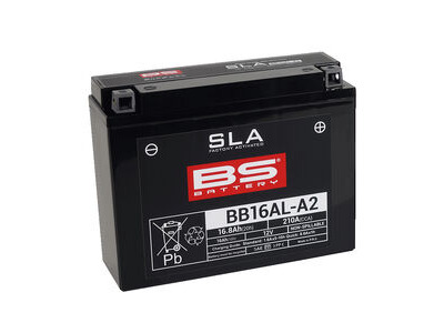 BS BATTERIES BB16AL-A2 SLA (WC) Factory Activated Battery