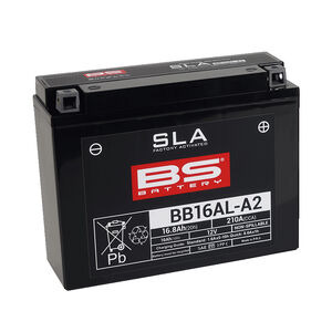 BS BATTERIES BB16AL-A2 SLA (WC) Factory Activated Battery 