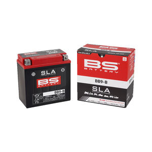 BS BATTERIES BB9-B SLA (WC) Factory Activated Battery click to zoom image