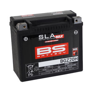 BS BATTERIES BGZ20H SLA Max (WC) Factory Activated Battery 