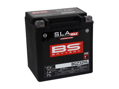 BS BATTERIES BGZ32HL SLA Max (WC) Factory Activated Battery