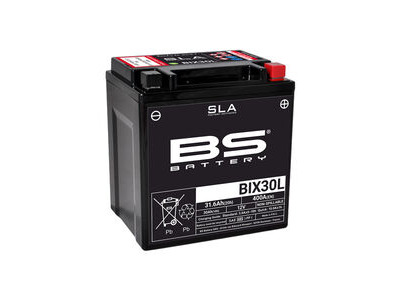 BS BATTERIES BIX30L SLA (WC) Factory Activated Battery