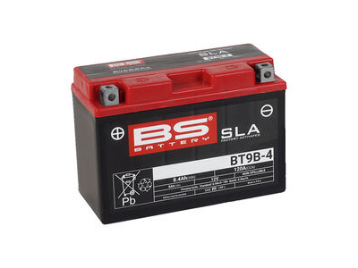 BS BATTERIES BT9B-4 SLA (WC) Factory Activated Battery