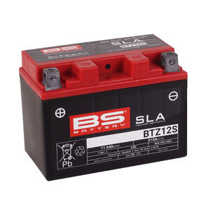 BS BATTERIES BTZ12S SLA (WC) Factory Activated Battery 