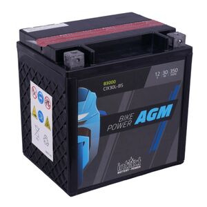 INTACT YTX30L-BS Maintenance Free AGM Bike-Power Battery 