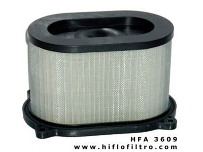 HIFLOFILTRO HFA3609 Air Filter