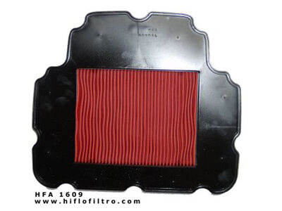 HIFLOFILTRO HFA1609 Air Filter