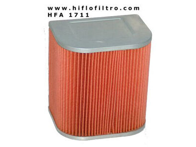 HIFLOFILTRO HFA1711 Air Filter-SPECIAL ORDER