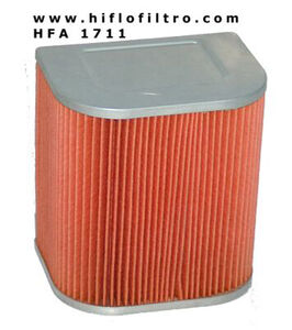 HIFLOFILTRO HFA1711 Air Filter-SPECIAL ORDER 