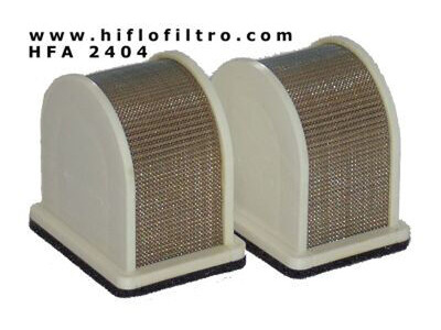HIFLOFILTRO HFA2404 Air Filter-SPECIAL ORDER