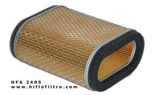 HIFLOFILTRO HFA2405 Air Filter-SPECIAL ORDER 