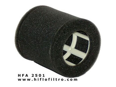 HIFLOFILTRO HFA2501 Air Filter