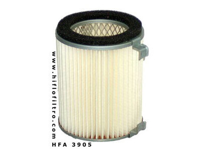 HIFLOFILTRO HFA3905 Air Filter