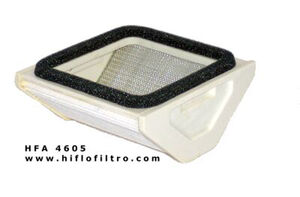HIFLOFILTRO HFA4605 Air Filter 