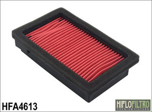 HIFLOFILTRO HFA4613 Air Filter 